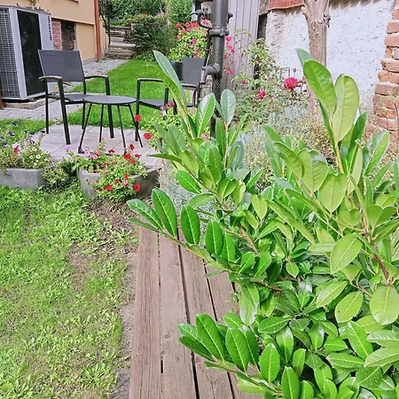 Apartman Kacov Apartment