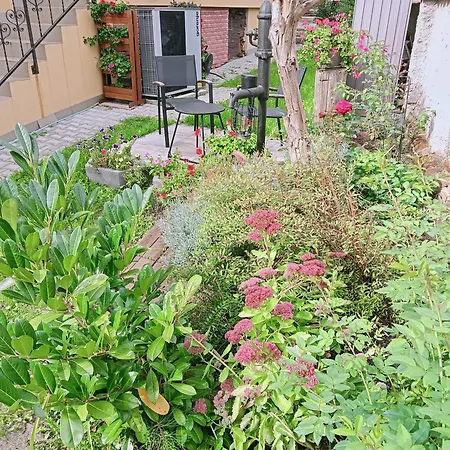Apartman Kacov Апартаменты Kacov